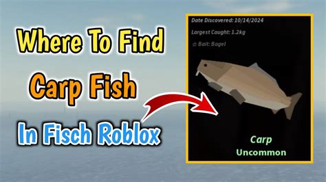 Where To Find Carp Fish In Fisch Roblox Carp Fish Location Youtube