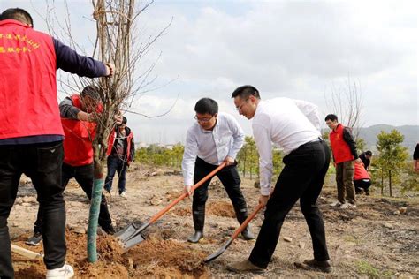 大溪：开展“我为亚运种棵树”植树活动潘仁军力量郑亮