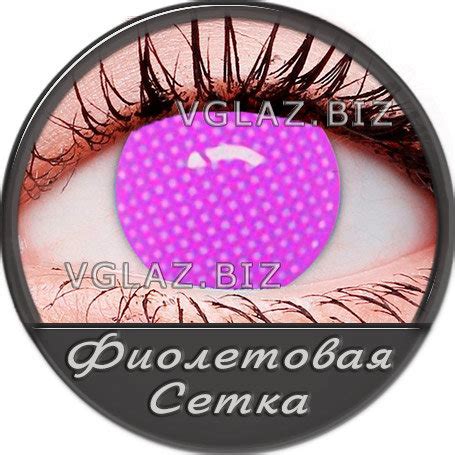 Линзы Без Зрачков Фиолетовые