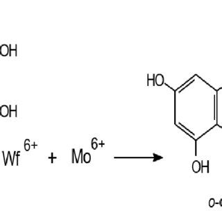 Reaction of a phenolic antioxidant compound and a Folin-Ciocalteu... | Download Scientific Diagram