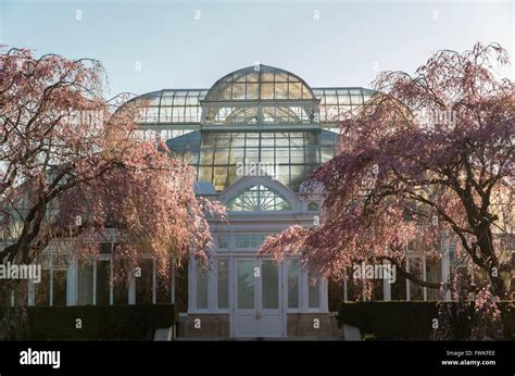 Enid A Haupt Conservatory With Flowering Cherry Trees At New York