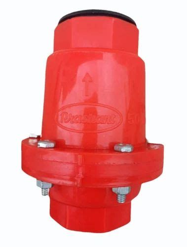 Inch Red Pvc Non Return Valve At Piece Pvc Nrv In Ahmednagar