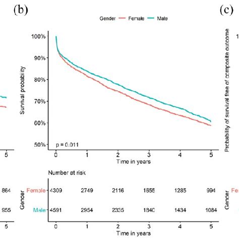 Pdf Sex Disparity In Long Term Stroke Recurrence And Mortality In A