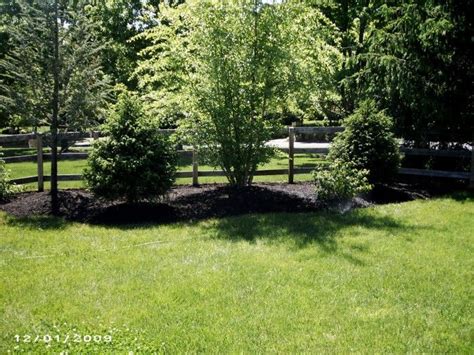 Nice Fence Behind Berm With Varied Trees Urban Garden Landscape