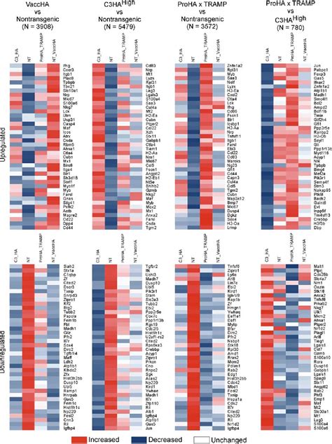 Figure From Antigen Specific Cd T Cells Induce Distinct