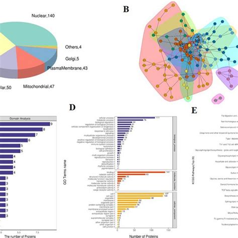 Bioinformatics Analysis Of Ev Differential Proteins A Subcellular Download Scientific Diagram