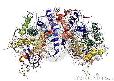 Rhodopsin Protein Structure Stock Photo | CartoonDealer.com #23822424