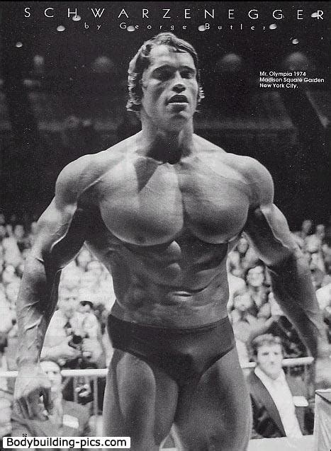 Sports and Players: Arnold Schwarzenegger Bodybuilding Player