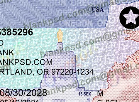 Oregon Drivers License Template New V Blank Psd