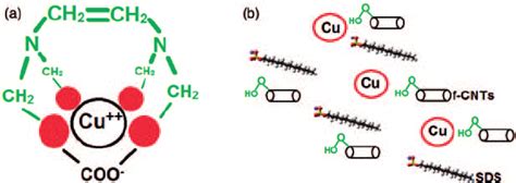 A Chelation Mechanism Of Edta And B Dispersion Effect Of Sds 30