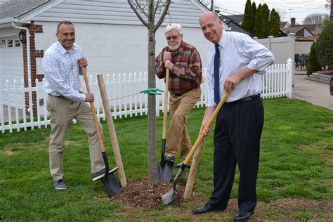 Mineola board plants tree for Arbor Day - The Island Now Community News