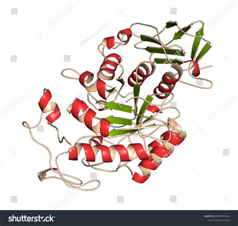 13 Metalloenzyme Images, Stock Photos & Vectors | Shutterstock