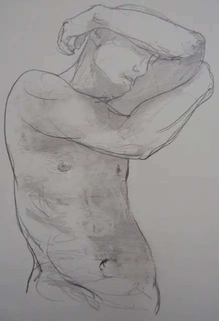 Original Male Nude Expressive Pencil Drawing Sketch On Paper