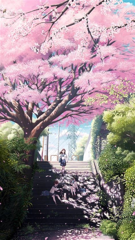 Anime Sakura Trees Hd Wallpapers Wallpaper Cave