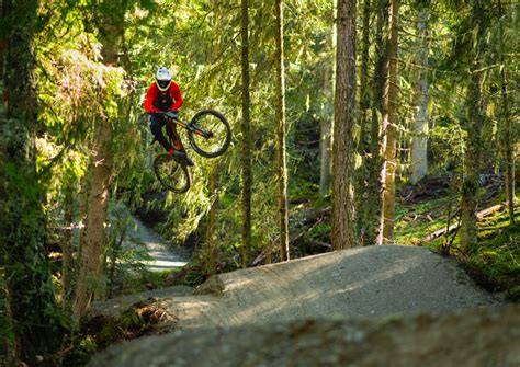 Mtb Rider Gravity Card Eine F R Alle Alle Mit Einer