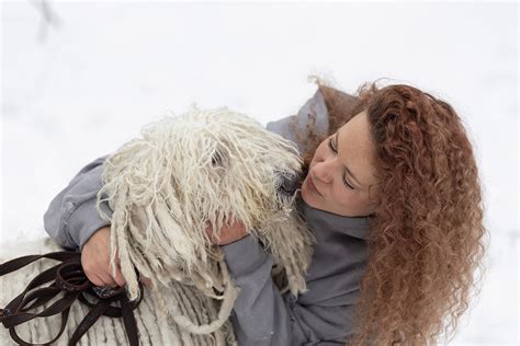 Komondor Breed Info: Pictures, Temperament & Traits – Dogster