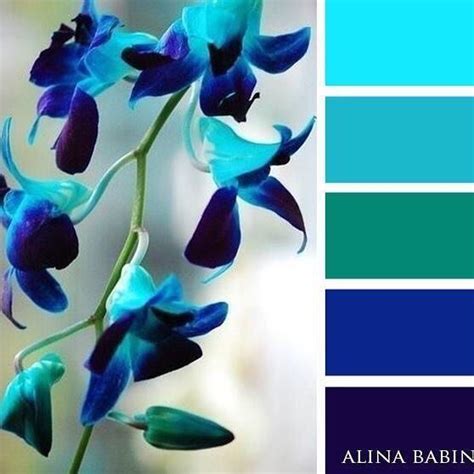 Pin By Jeanelle On Colour Schemes Color Schemes Colour Palettes