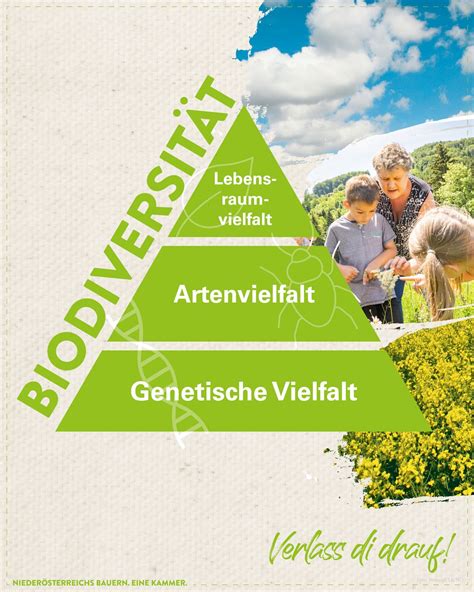 Biodiversit T Landwirtschaft Verstehen