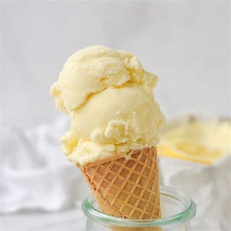 Homemade Lemon Ice Cream Recipe By Leigh Anne Wilkes