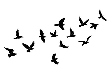 Premium Vector Silhouettes Of Flying Birds On A White Background