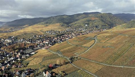 27 Hours In Alsace Jancis Robinson