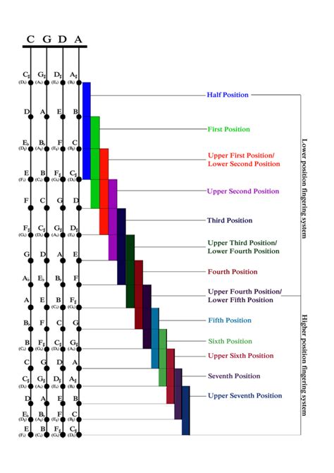 Cello Fingering Position Charts