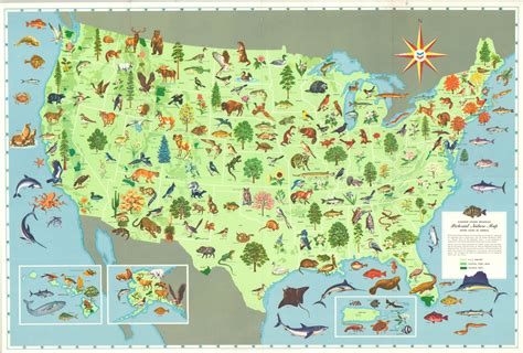 Navigating The Landscape A Comprehensive Guide To Small United States