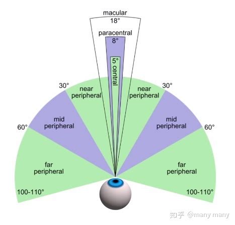 Human Vision Specification | Qiang Zhang