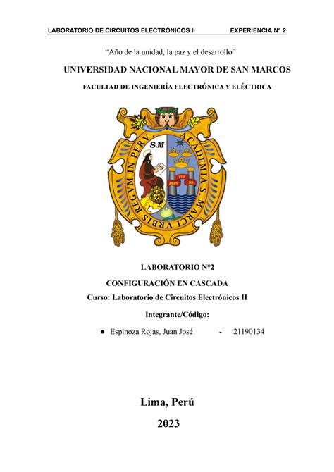 Informe 2 Ceii “año De La Unidad La Paz Y El Desarrollo” Universidad Nacional Mayor De San