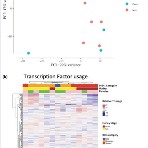 A Principal Components Analysis Of Bulk Rna Sequencing Distinguishes