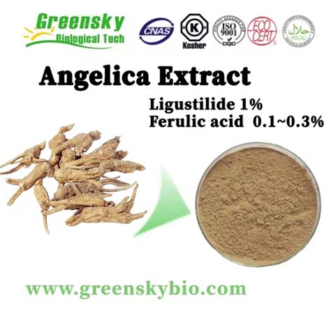 Angelica Sinensishangzhou Greenskymanufacturer Of Botanical Extract