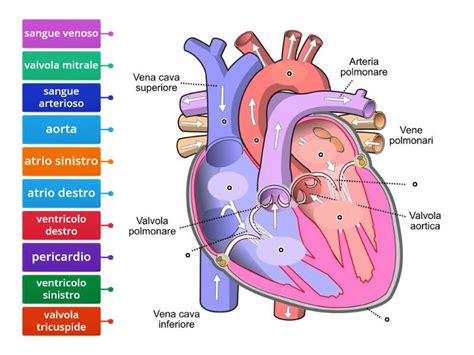 Il Cuore Immagini Con Bollini