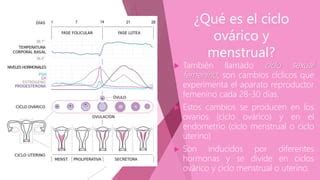 Ciclo Ov Rico Y Menstrual Pptx Presentacion Ppt