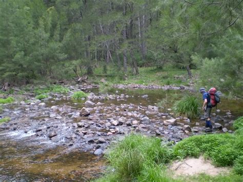 Cox's River return via Dunphy's campsite walking track