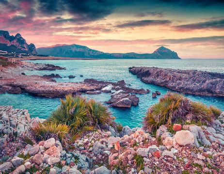 รูปภาพCofano – เลือกดูภาพถ่ายสต็อก เวกเตอร์ และวิดีโอ1,506 | Adobe Stock