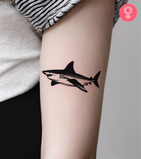 8 Amazing Tiger Shark Tattoo Designs With Meaning