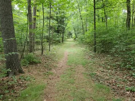 Best Forest Trails In Two Rivers Alltrails