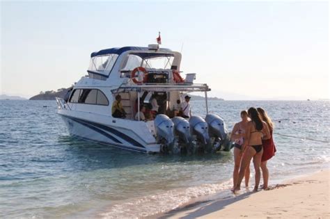 Charter Luxury Speed Boat New Hope Pusat Rental Kapal Mobil Di