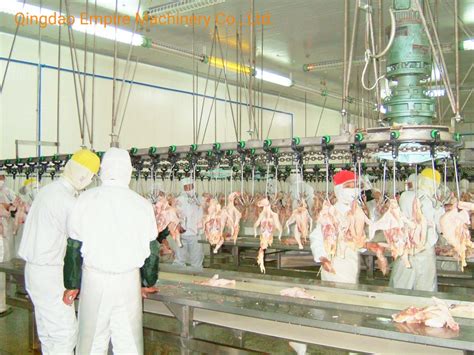 Poultry Boneless Automatic Convey Rail Slaughter For Poultry Slaughter