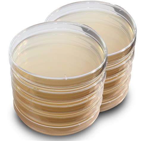 LB Agar Plates Evviva Sciences Sterile Prepoured Luria Bertani Agar