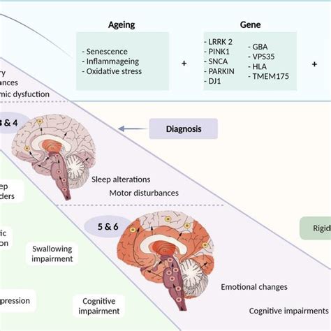 Pd Progression And Major Clinical Symptoms Idiopathic Pd Is Thought To