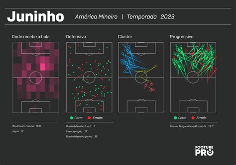 Guia T Tico Do Brasileir O Am Rica Mg De Vagner Mancini