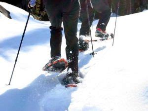 Snowshoeing For Beginners The Complete Guide Live For Motion