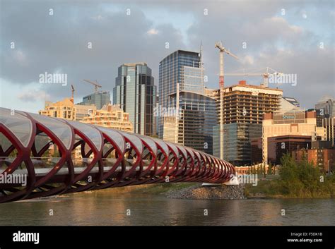 Construction cranes and office under construction in downtown Calgary ...