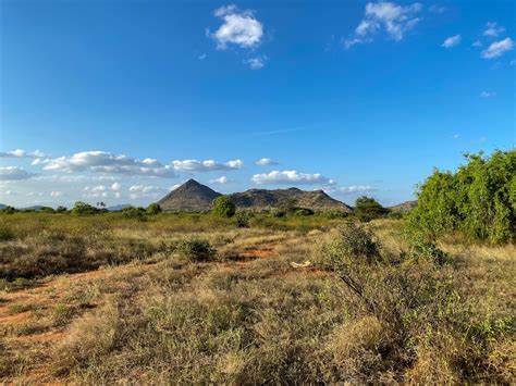 A Two-Day Visit to Samburu National Reserve - Travel A-Broads