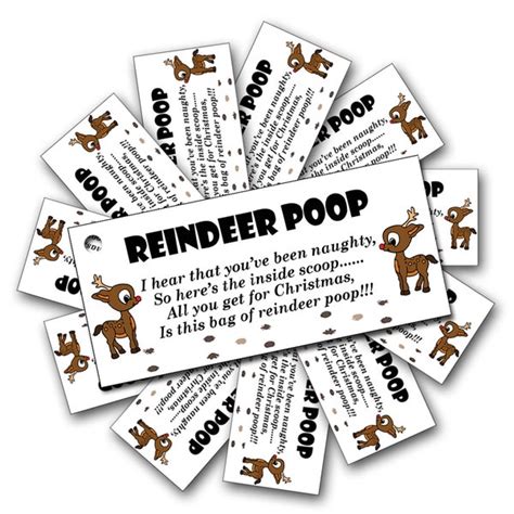 Reindeer Poop Etsy