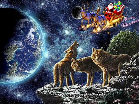 🔥 [40+] Wolf Christmas Wallpapers | WallpaperSafari