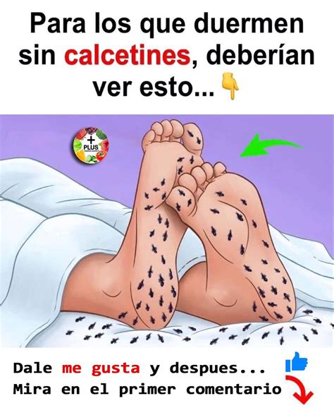 Desventajas Y Ventajas De Dormir Con Calcetines Noticias