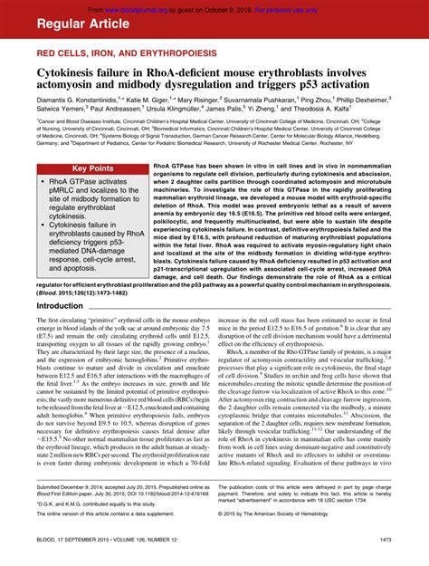 PDF Erythroid Specific RhoA Deficiency Causes Dysplastic And