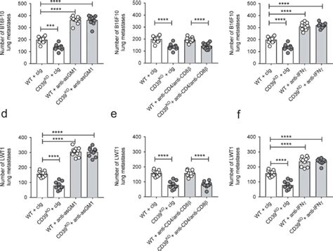 Suppression Of Lung Metastases In Cd Ko Mice Is Nk Cell And